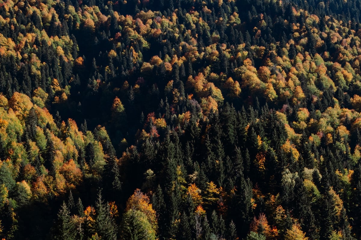End of the World — Ushguli, Georgia — gallery image